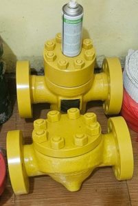 Globe Valve